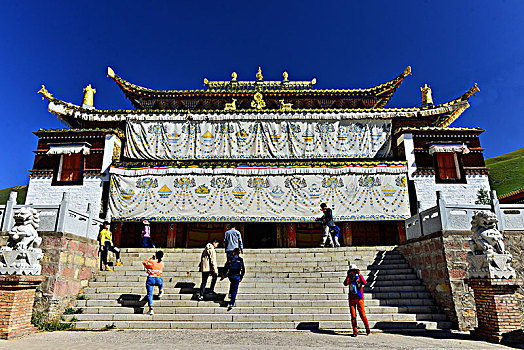 soi cau m trung